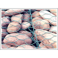 Galfan Gabions und Gabion Matratze / Gabion Mesh